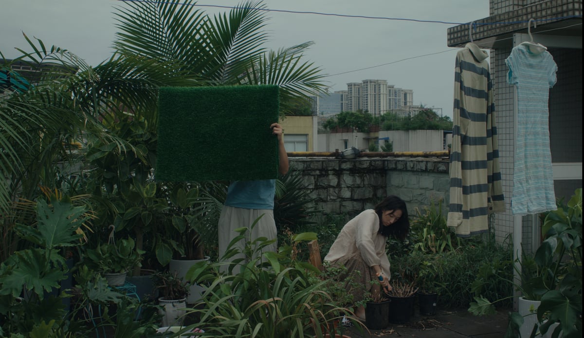 Shorts Program: Spirited Away