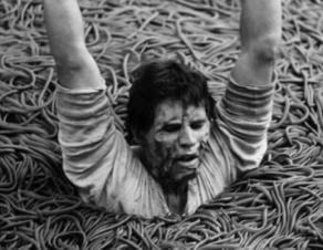Classic Thrills & Late-Night Chills on Tap for ‘Freaky Fridays’ at the Film Society