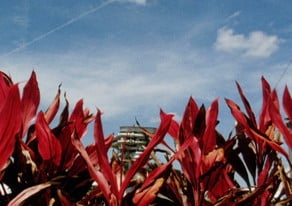 NYFF Projections: ‘Under the Atmosphere’ Director Mike Stoltz Talks Nature and NASA