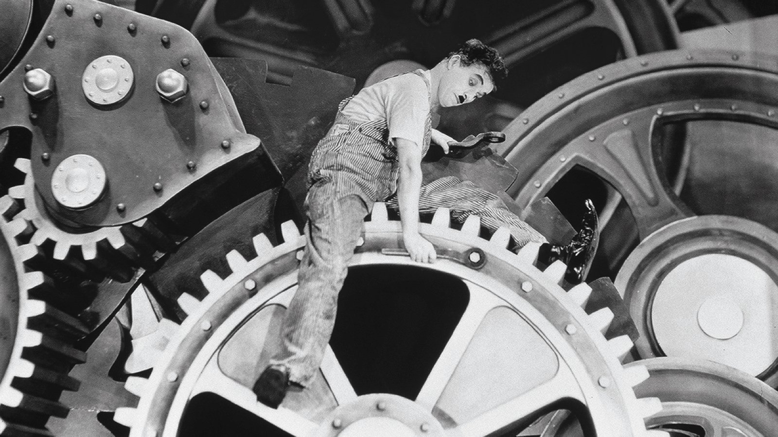 Fall Preview: Verhoeven, Ruiz, Steadicam, and More