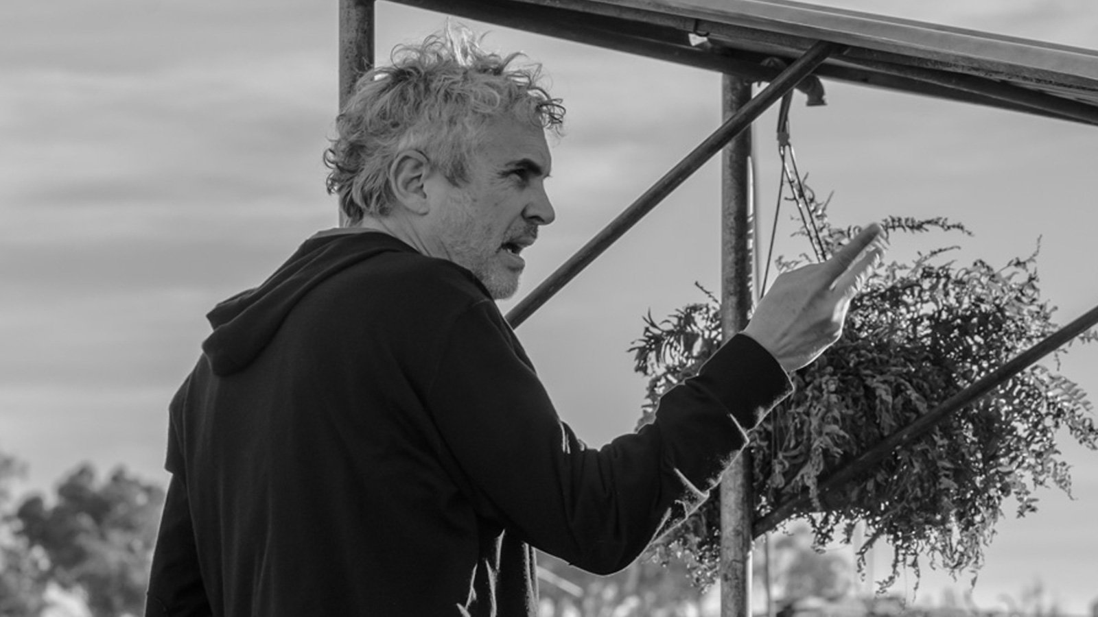 Shorts and Talks at the 56th New York Film Festival Announced