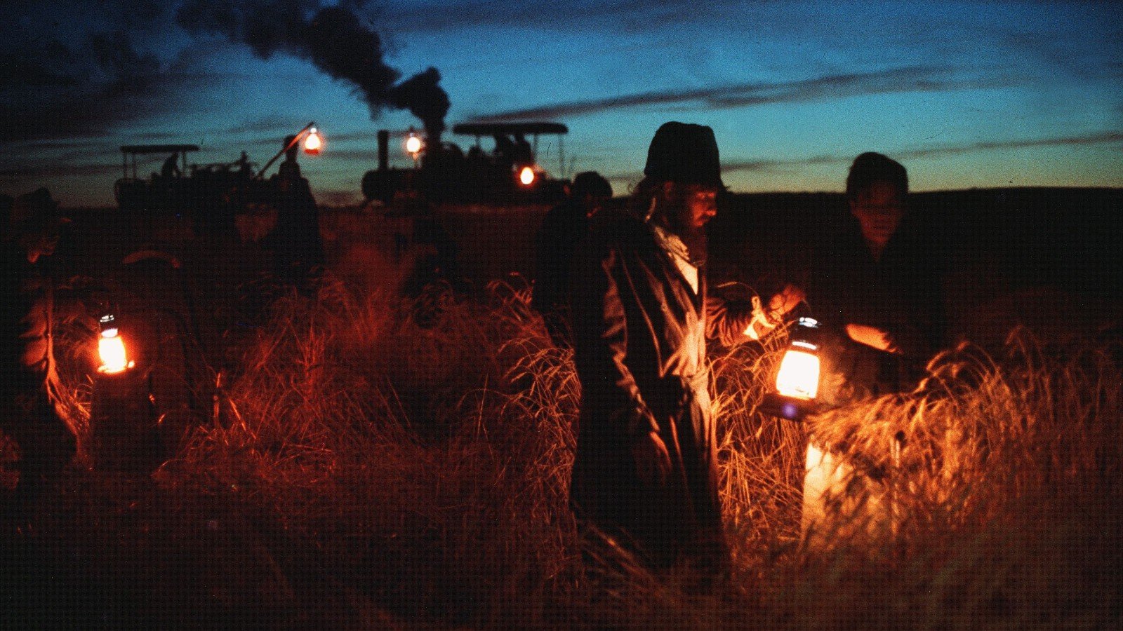 NYFF57 Retrospective and Revivals Announced