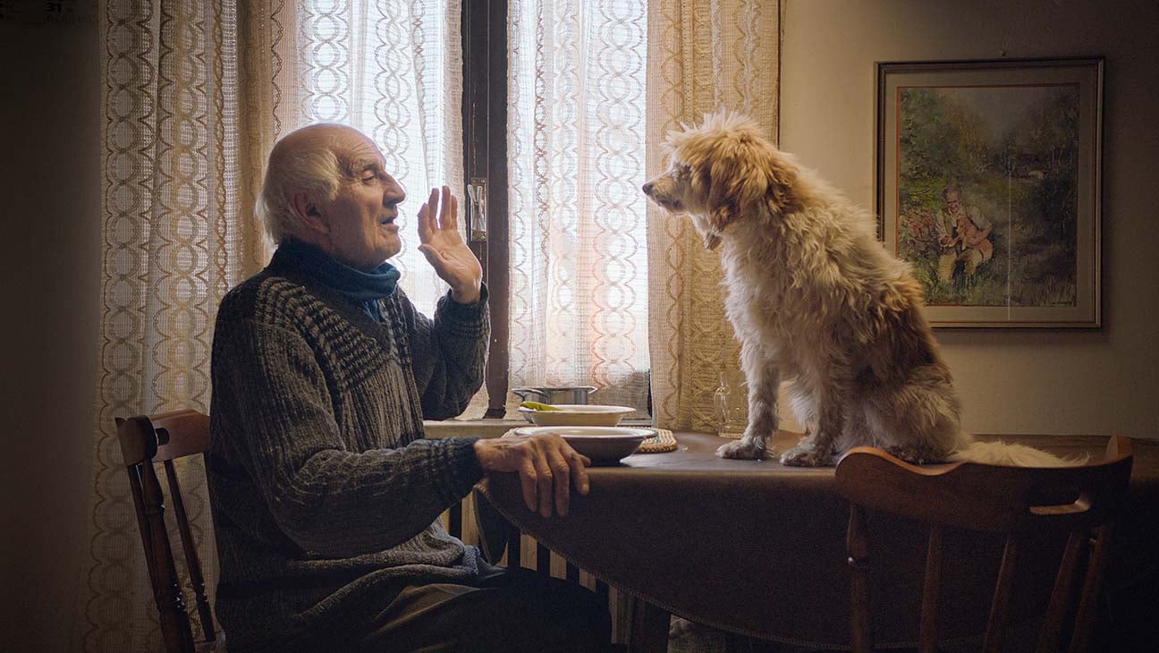 <i>The Truffle Hunters</i> Directors Michael Dweck & Gregory Kershaw on Capturing an Italian Tradition