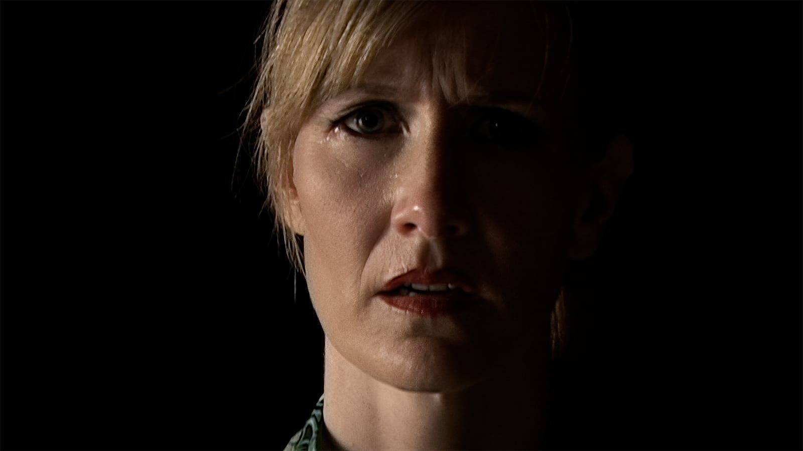 Melissa Anderson and <i>Inland Empire</i>