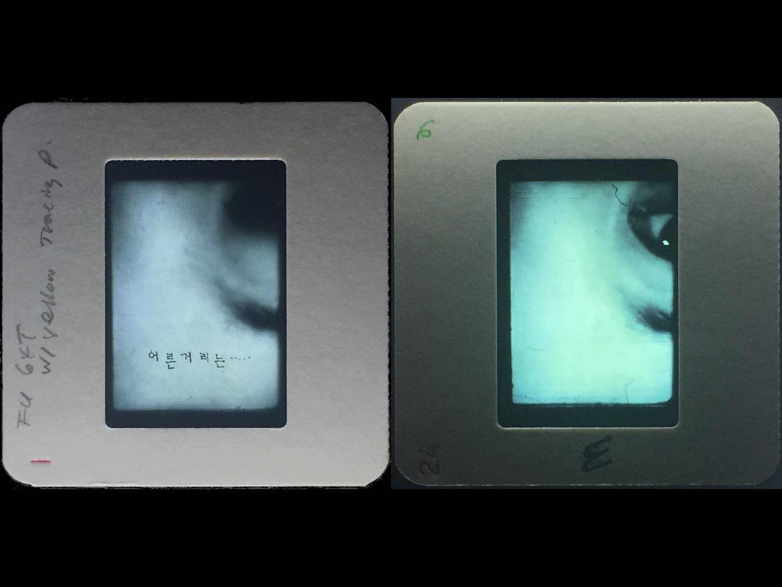 Special Exhibition by Hey-Yeun Jang