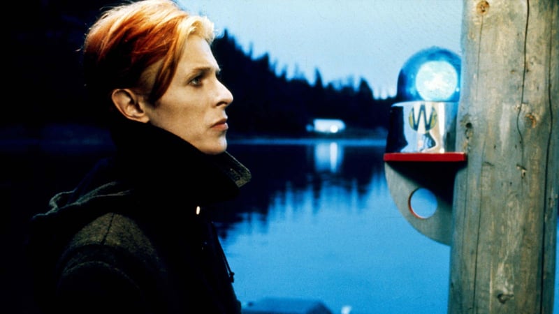 The Man Who Fell to Earth