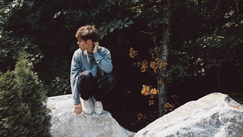 Sound + Vision Live: Foxes in Fiction