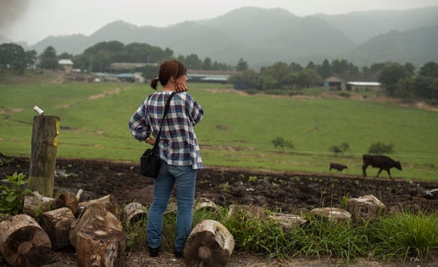 Artifacts of Fukushima: Selections from Unknown Spring