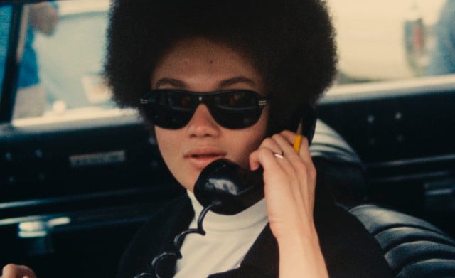 Black Panthers and Other Short Works