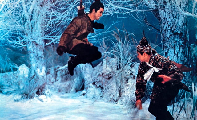 The One-Armed Swordsman
