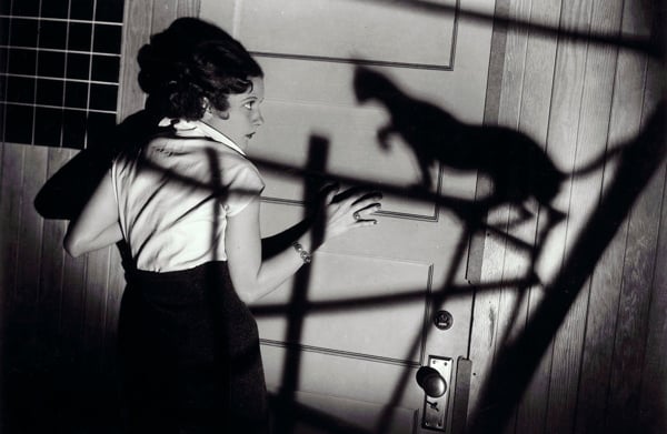 The Black Cat (and Other Tales)