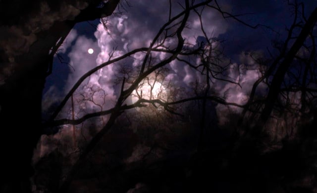 The End of Time