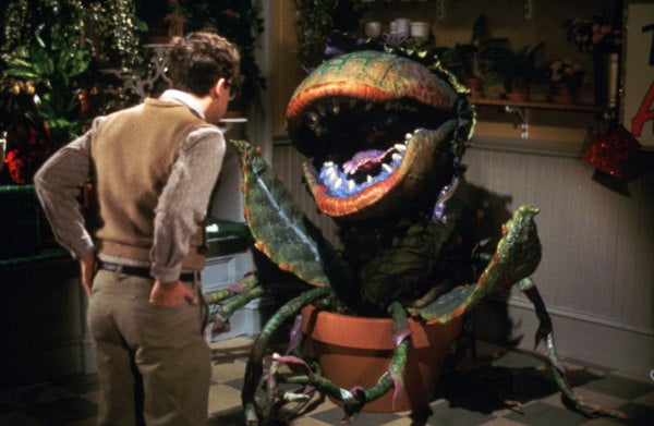 Little Shop of Horrors (The Director’s Cut)