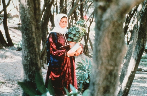 Through the Olive Trees
