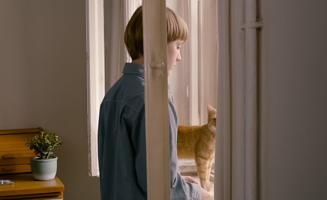 The Strange Little Cat