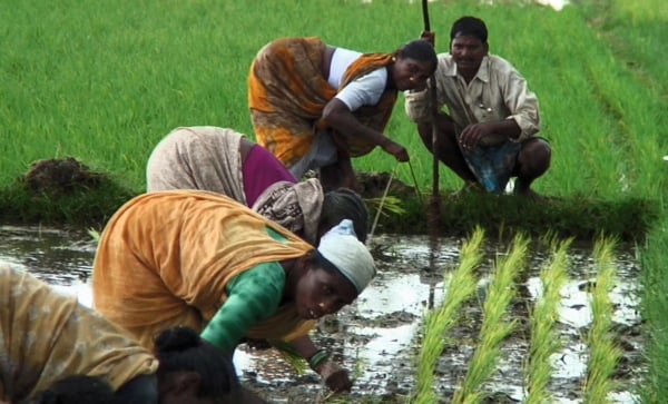 Think Global, Act Rural