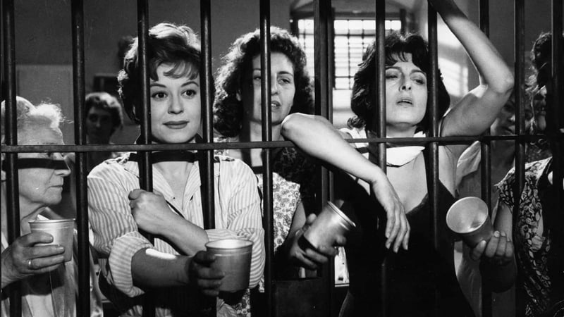 …And the Wild Women