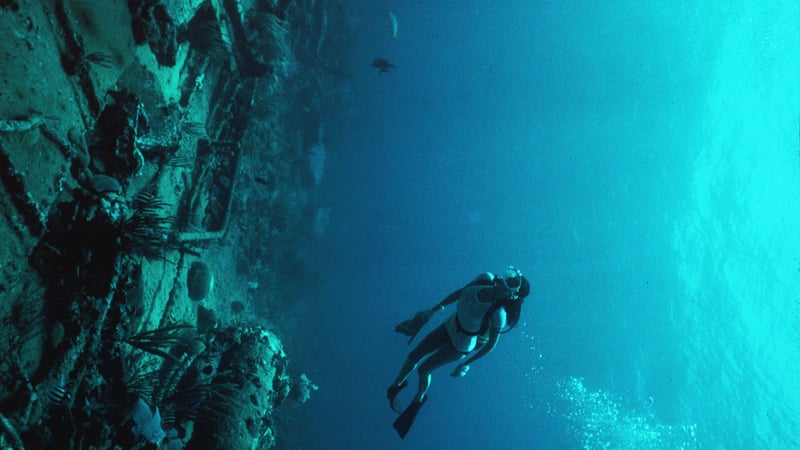 The Deep