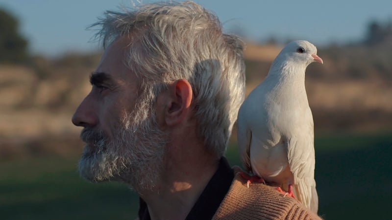 Shorts Program 4: Documentary
