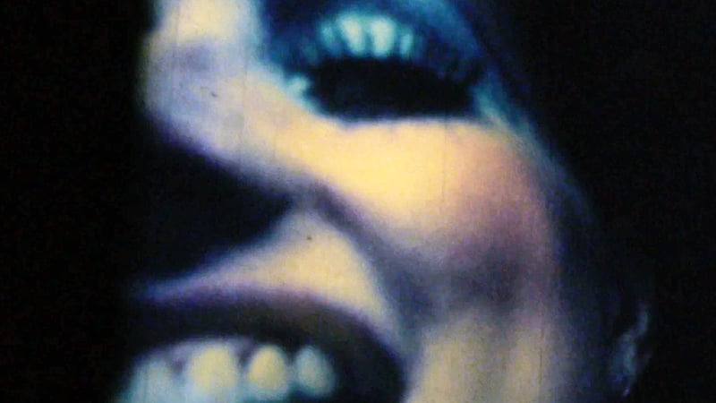 Barbara Hammer Program