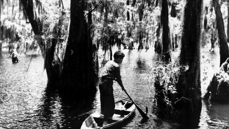 Louisiana Story