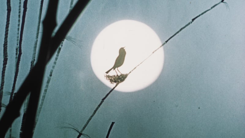 The Emperor’s Nightingale