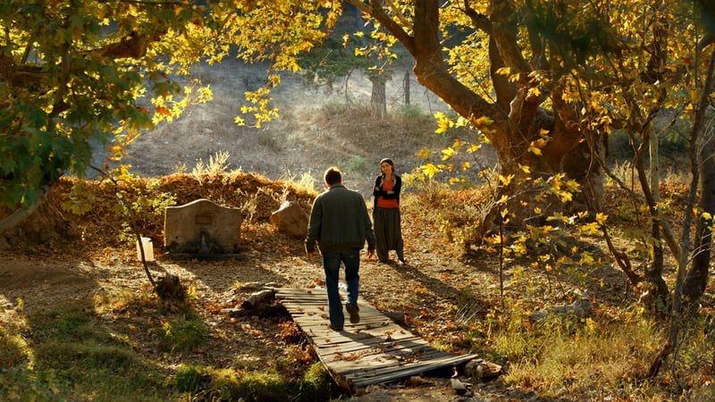 The Wild Pear Tree