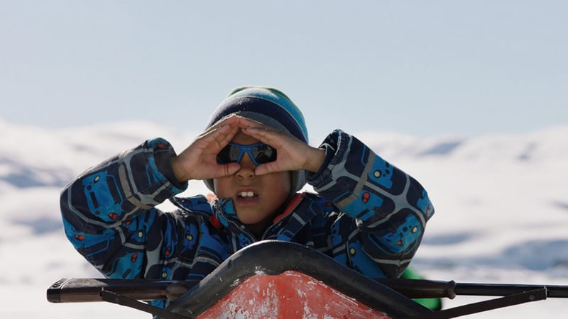 A Polar Year