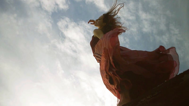 Dance on Camera 2019 Shorts Program II