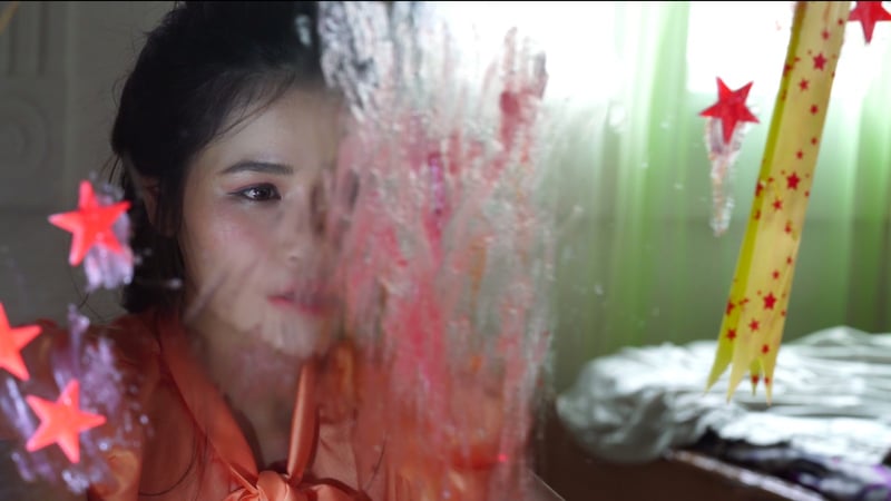 Shorts Program 3: Signs of Life