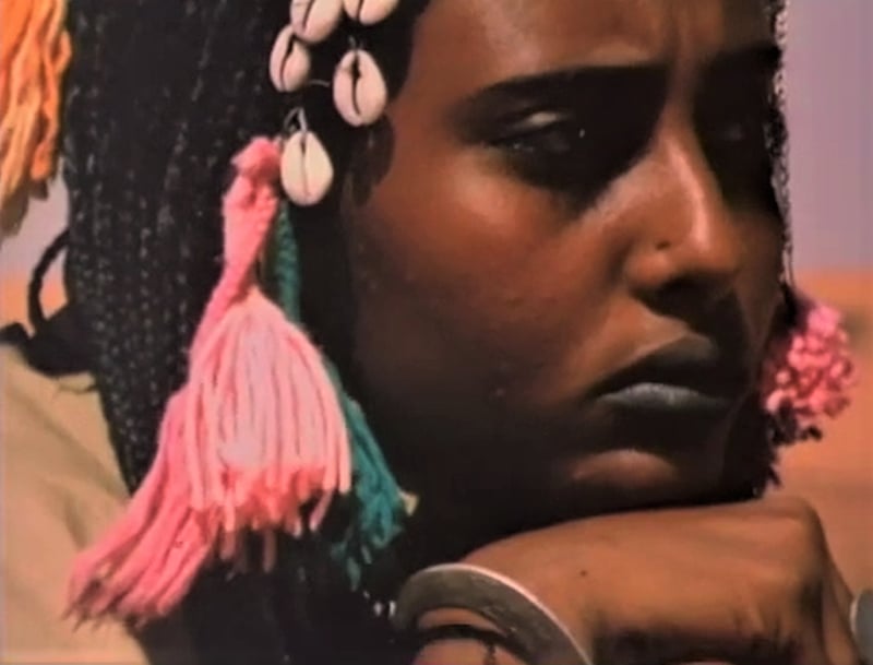 New York African Film Festival Goes Virtual with <i>Streaming Rivers: The Past into the Present</i>