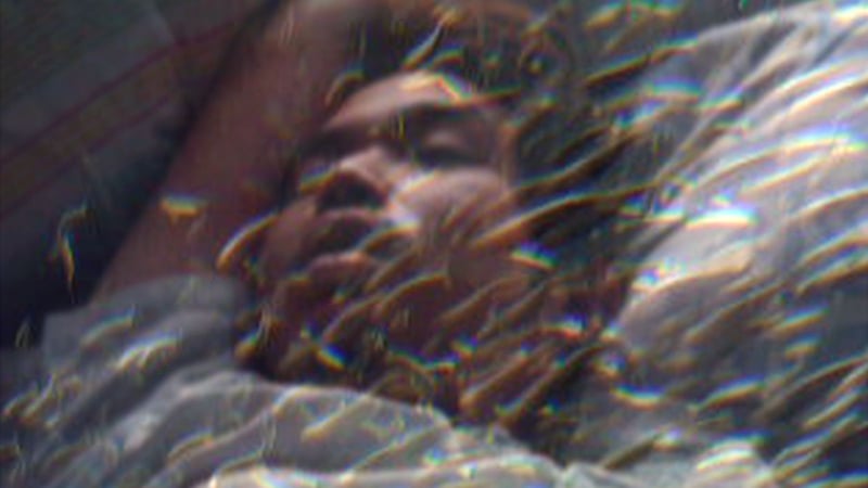 Shorts Program 3: Luminous Empire