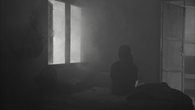 Shorts Program 4: Vapour Lights