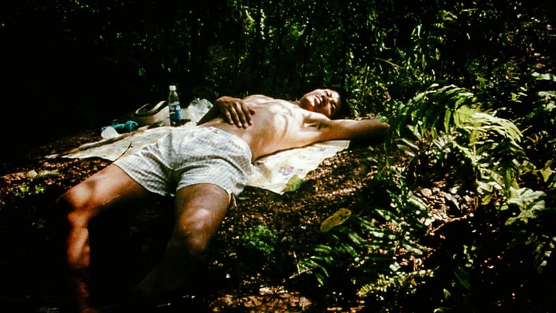 The World of Apichatpong Weerasethakul
