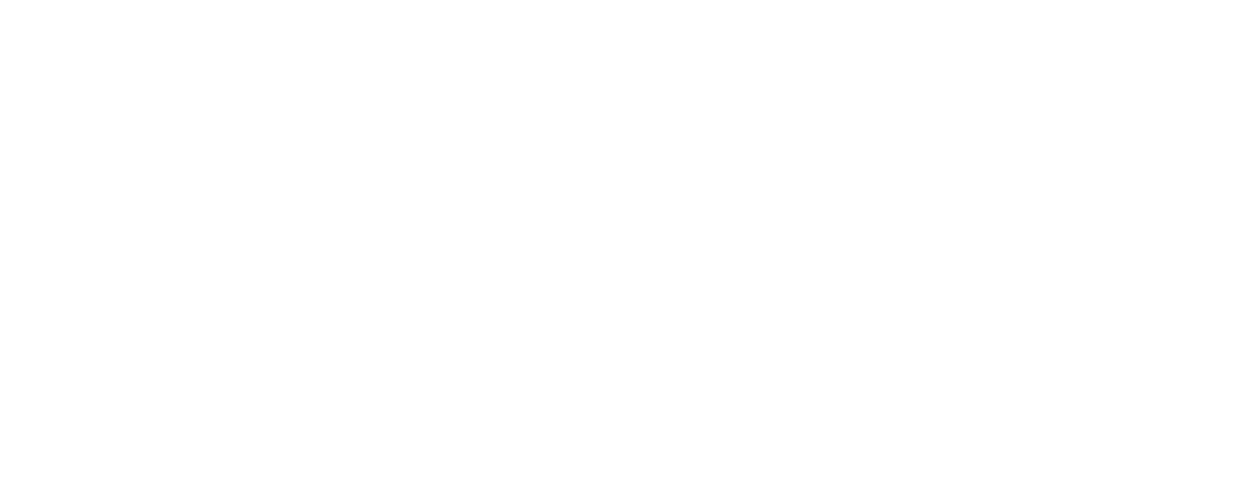 56th New York Film Festival